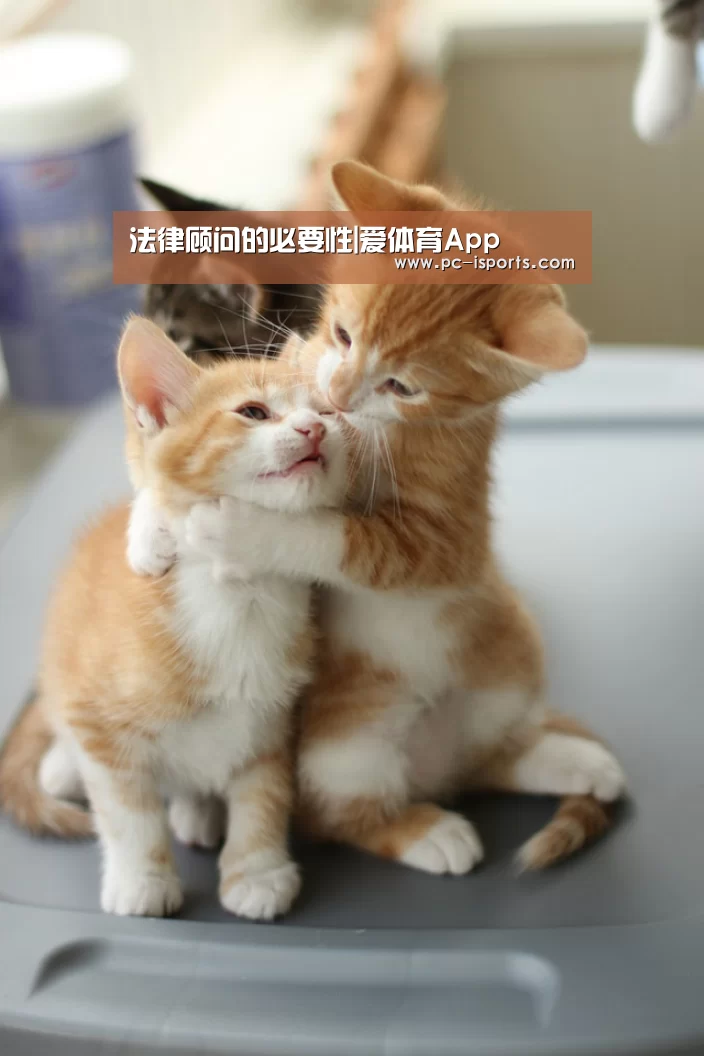 法律顾问的必要性|爱体育App(图1) 爱体育App